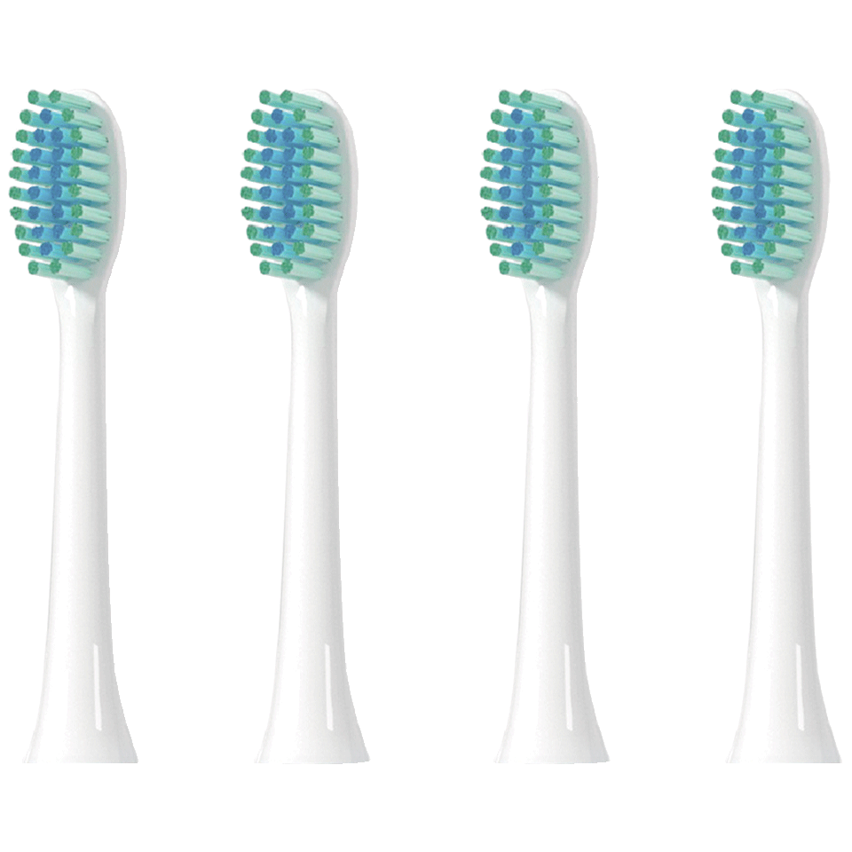 Set de 4 brossettes – Image 5